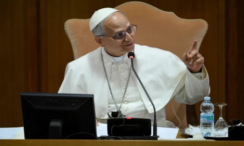 Artificial intelligence is a major challenge facing humanity: Pope Leo XIV