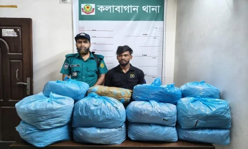 July Warriors' Immunity Act approved by Advisory Council