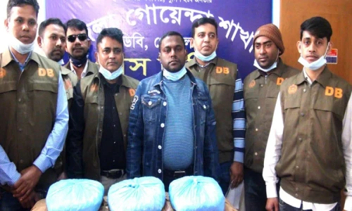 EC sends 728,000 postal ballots to expatriates