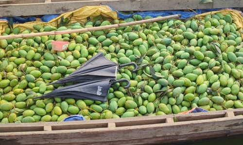 Jamaat's involvement in blanket distribution angered, Barhatta Upazila Jamaat protests