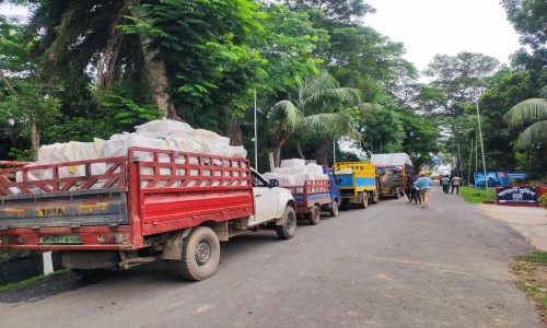 Upper house of the legislature is there to establish a balance of power: Professor Ali Riaz