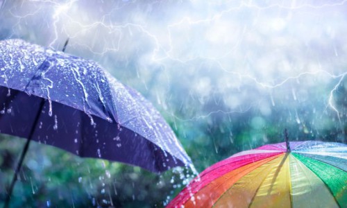 Central Bank's special facilities for LPG import