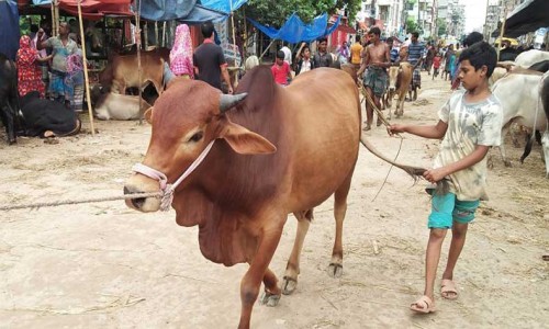 Election rallies and campaigns banned in educational institutions