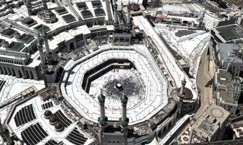 Plaintiff's objection to Hadi murder chargesheet