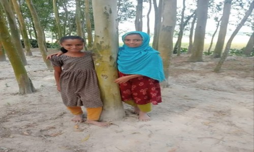 Two killed in Comilla after leg veins were cut and shot