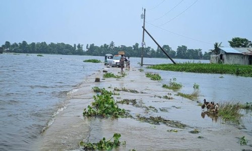 Main accused in Lakshmipur district election office arson case arrested