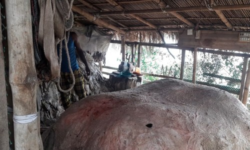 Bomb-like object recovered from abandoned bag in Faridpur