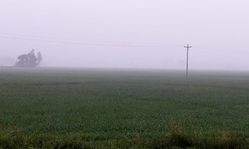 Ataur Rahman Vikrampuri arrested