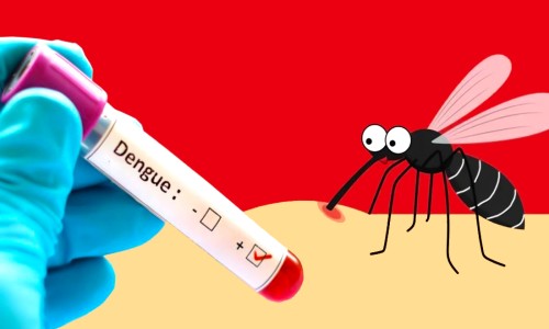 Star News web portal launched