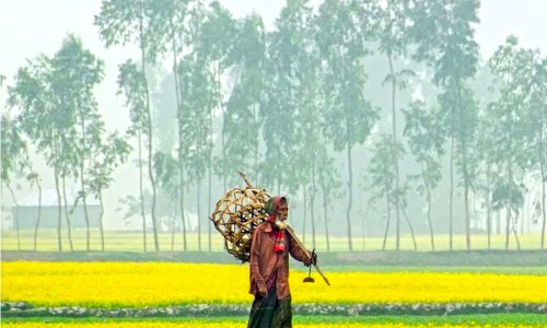 We must vote yes in favor of the referendum:  Advisor Adilur