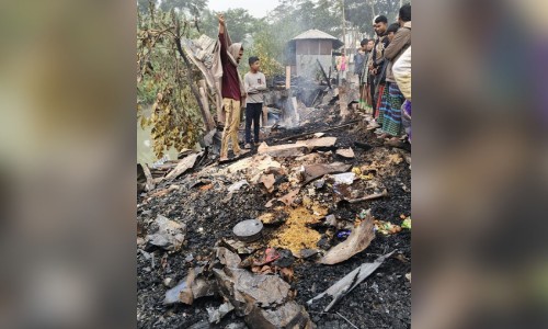 If 'Yes' wins, there will never be another 'night vote' in the country: Ali Riaz