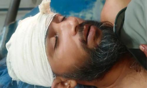 Tigress rescued in Sundarbans under close observation, more traps recovered