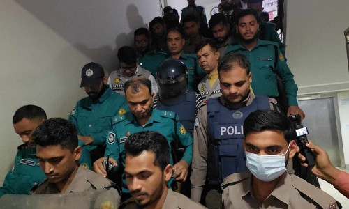 DUCSU provides shelter boxes for cats in winter