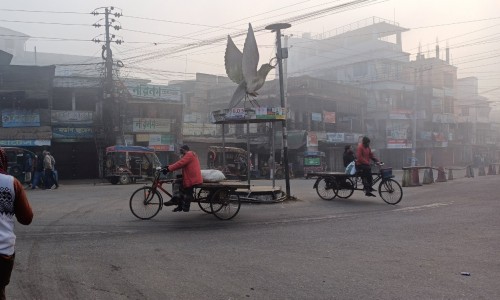 Firoz from Munshiganj used to make Yaba at home, arrested with 800 pieces