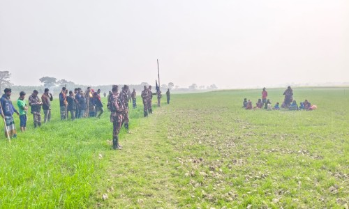 BNP Activist Arrested with 16 Cocktails in Joint Forces Operation in Jhenaidah