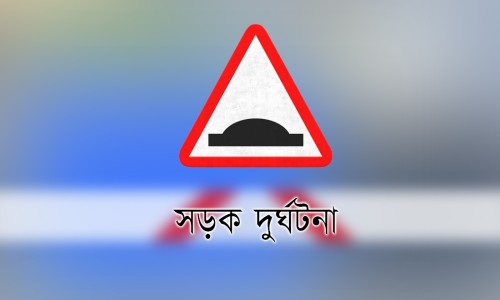 Hilsa imported from India to Benapole!