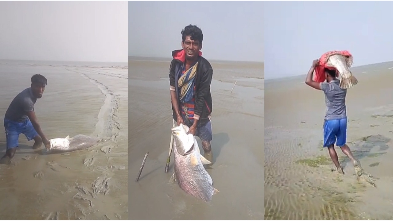 Former BNP president's nomination papers declared valid