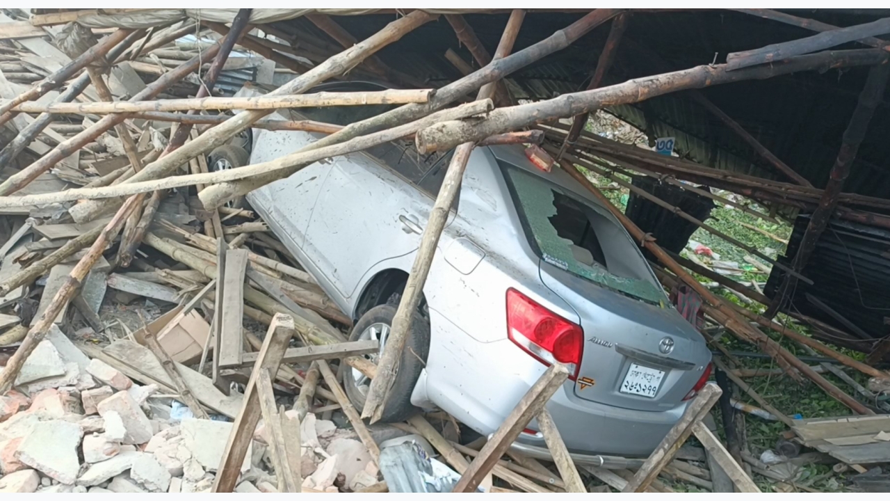 Upper house of the legislature is there to establish a balance of power: Professor Ali Riaz