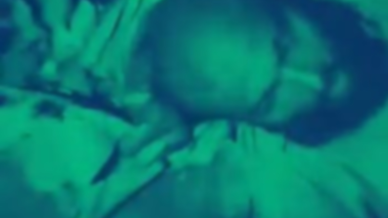 One killed in cocktail explosion