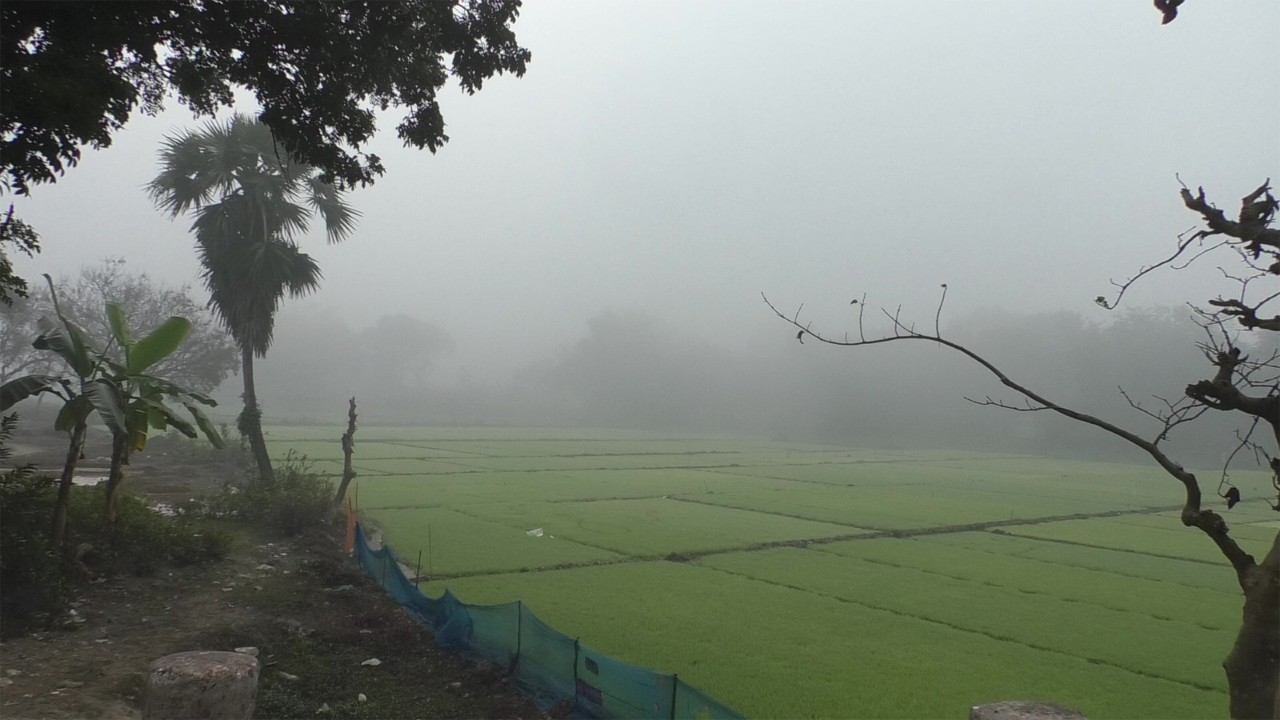 Schoolboy dies after being stabbed by neighbor