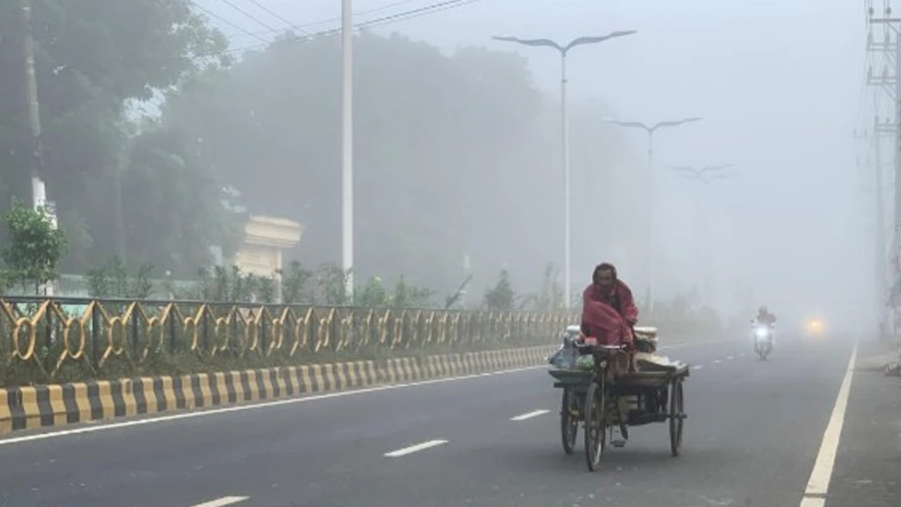 Weapons, bullets and bombs recovered in joint forces operation in Faridpur