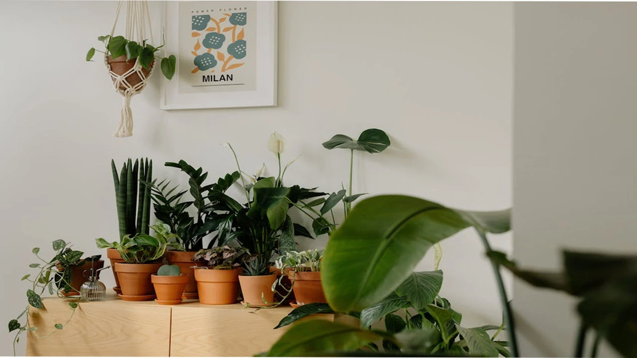 Where to visit around Dhaka?