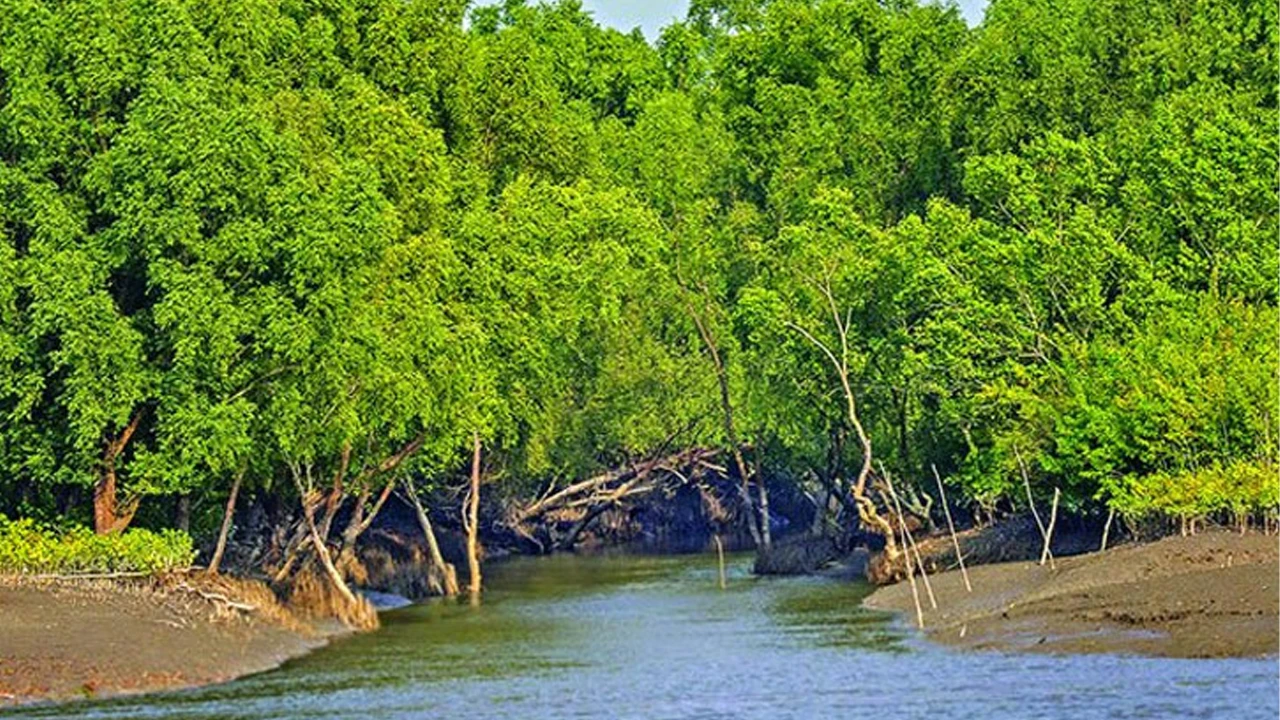 'Vote car' in Satkhira with referendum and election message