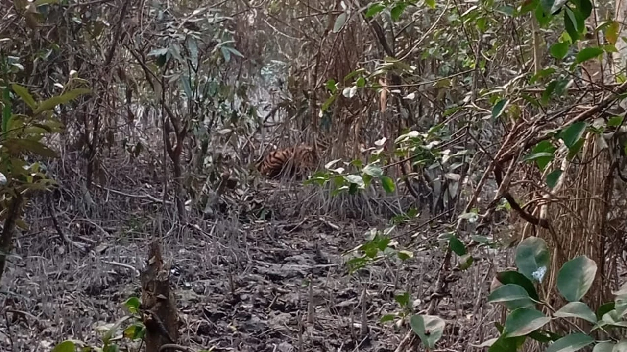 Body of young man with throat slit found in Netrakona