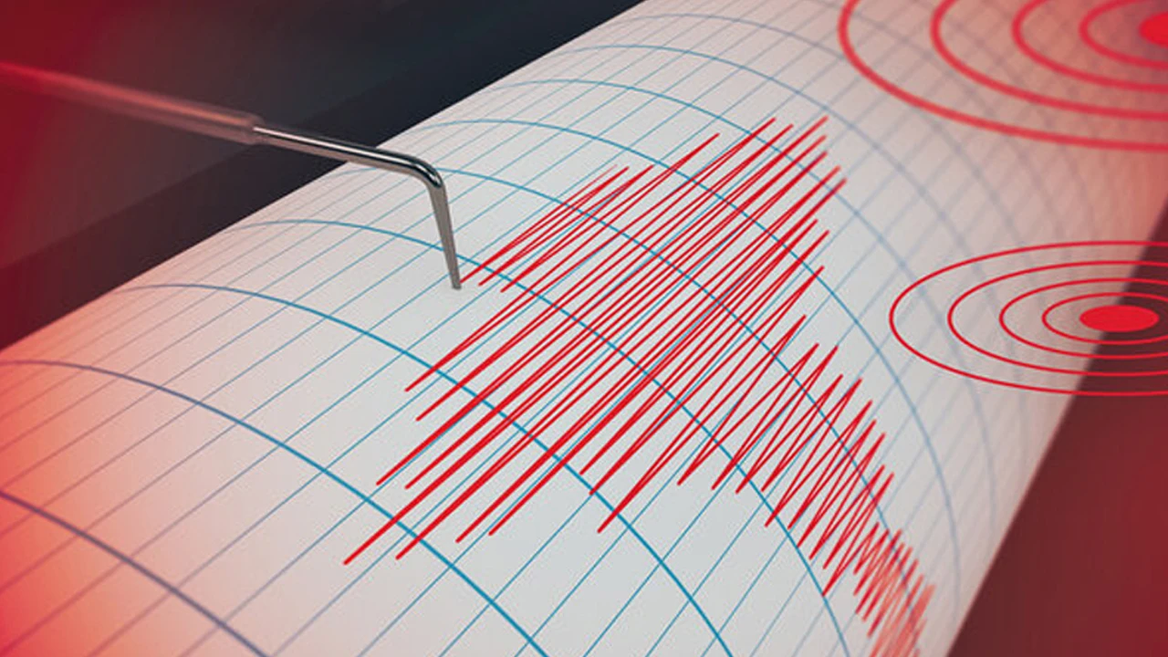 Insurance officer dies in road accident in Noakhali
