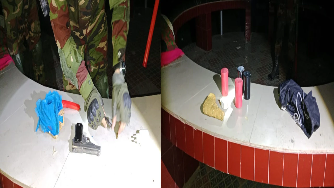 A cat that lost its mother was handed over to the Khulna Forest Department.