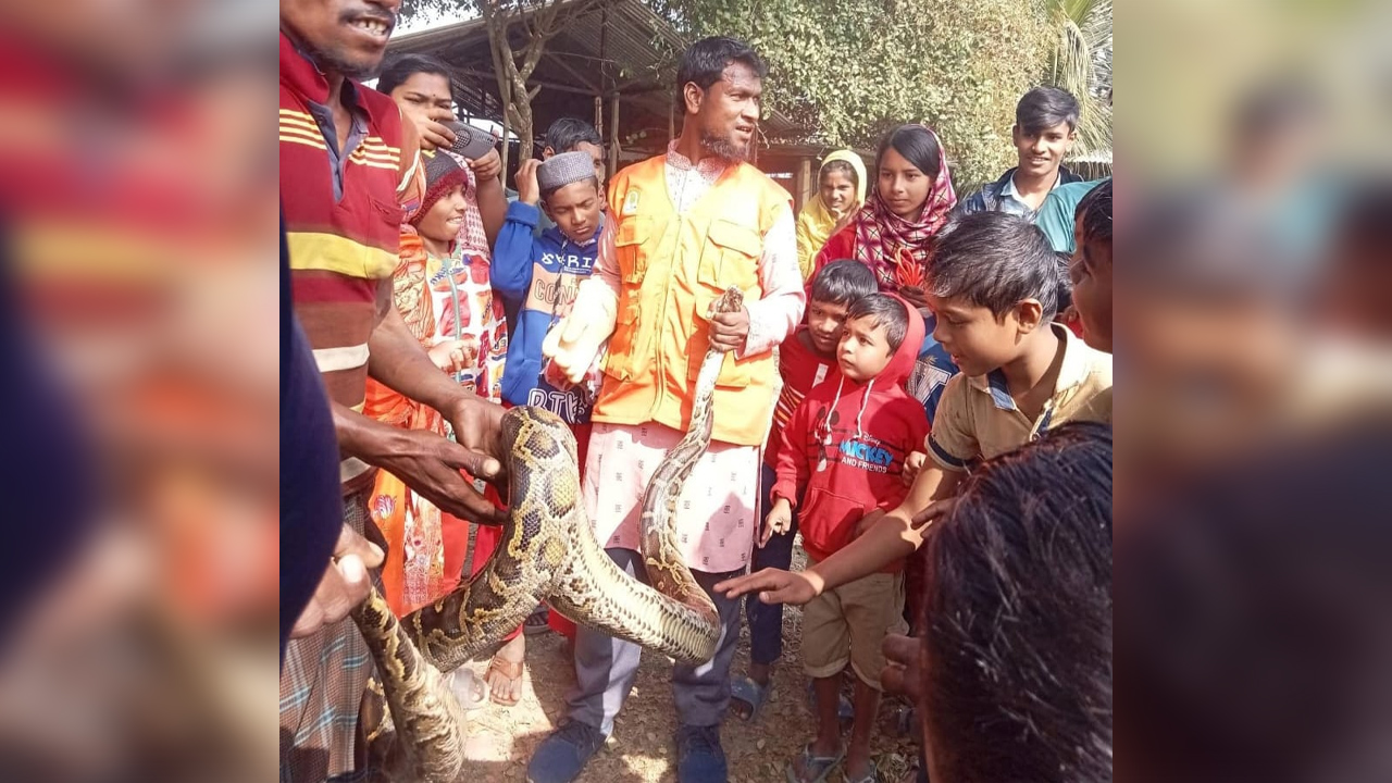 Petrol pump employee killed in car crash; 2 arrested