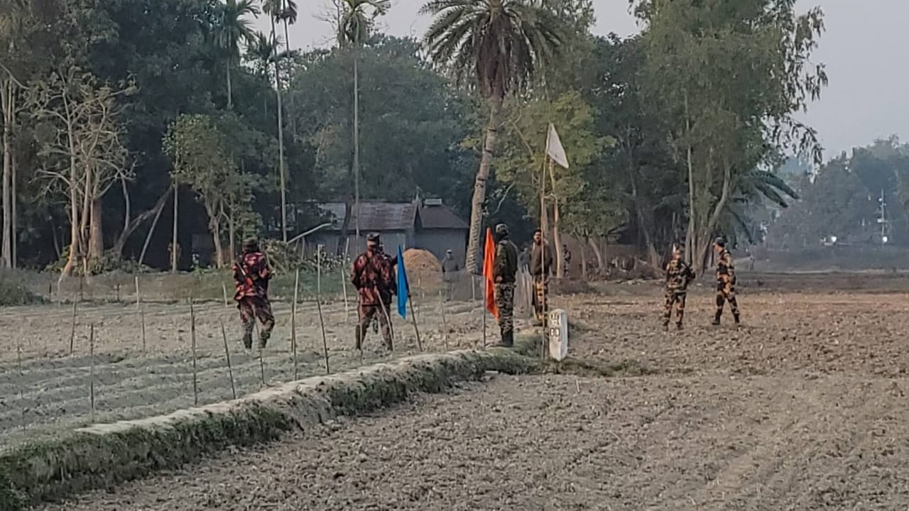 Woman killed after being hit by truck in Narsingdi