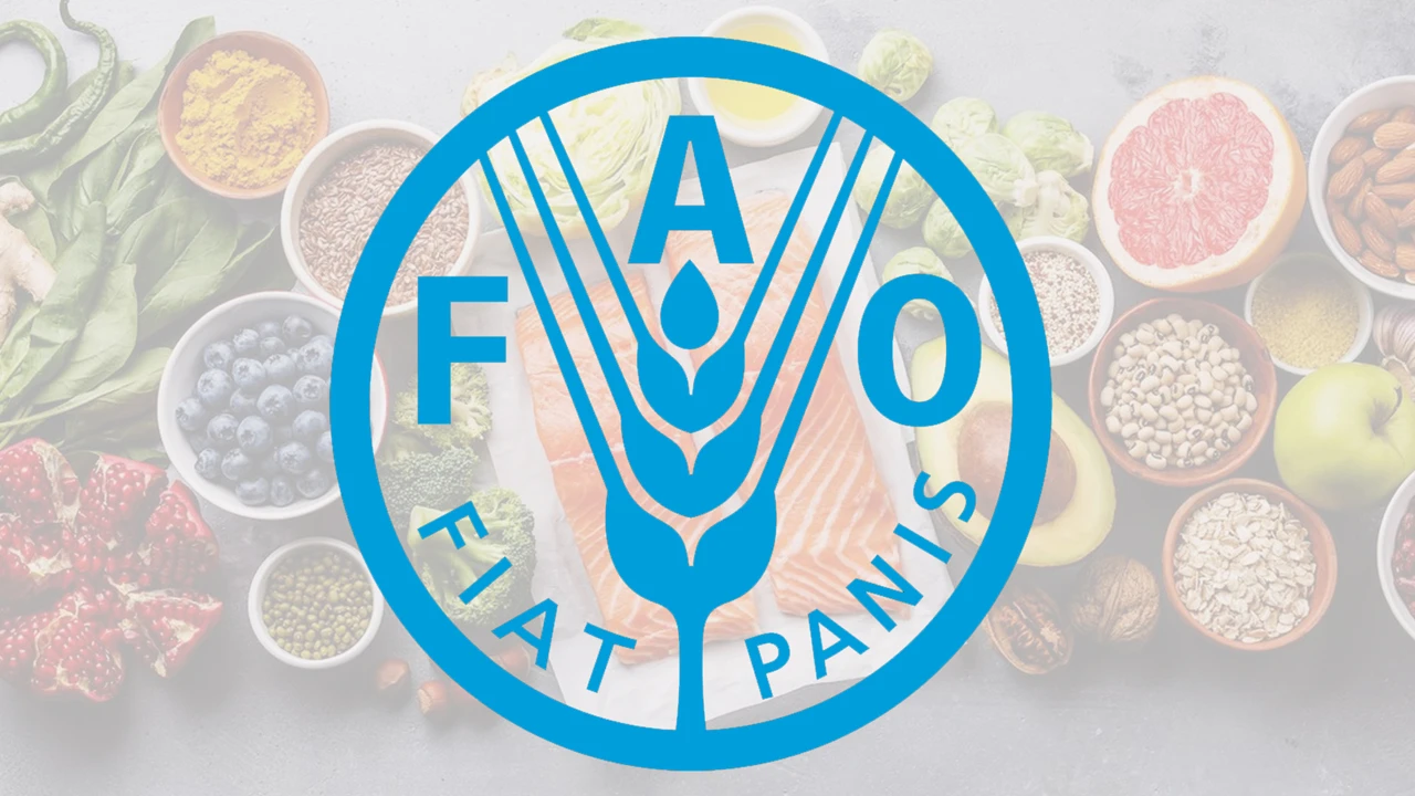 Food and Agriculture Organization of the United Nations