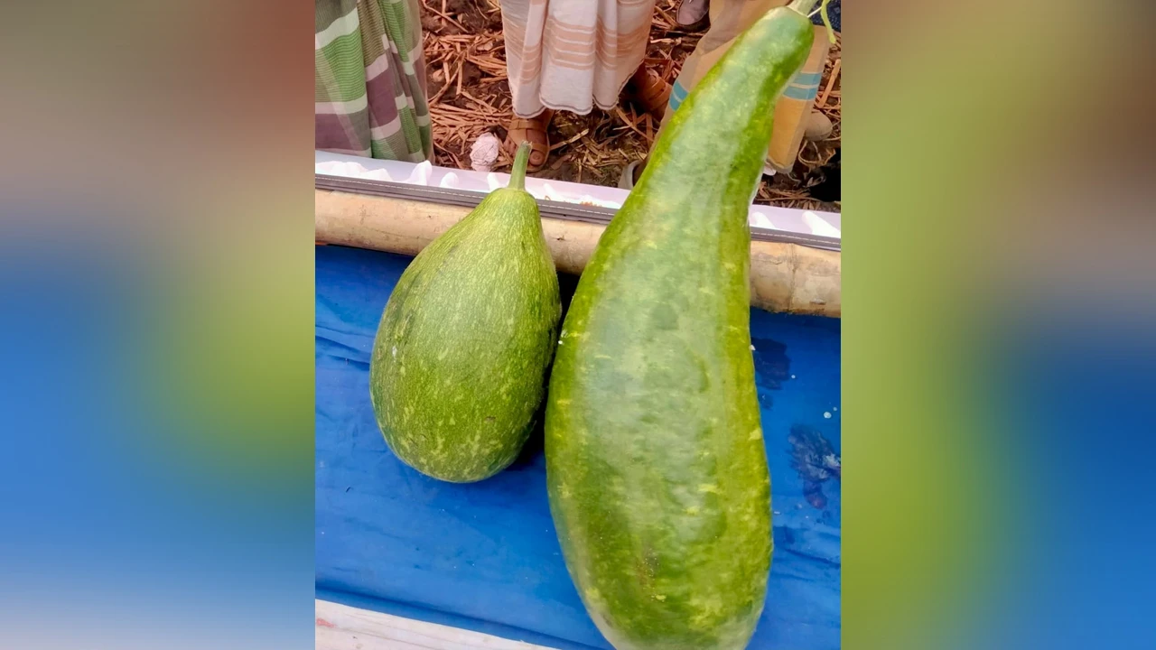 July warrior stabbed in Jessore, panic in the area