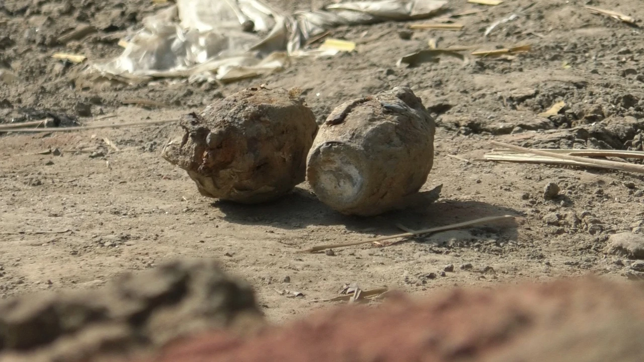 Elderly woman killed in Netrakona lorry accident while going to harvest paddy