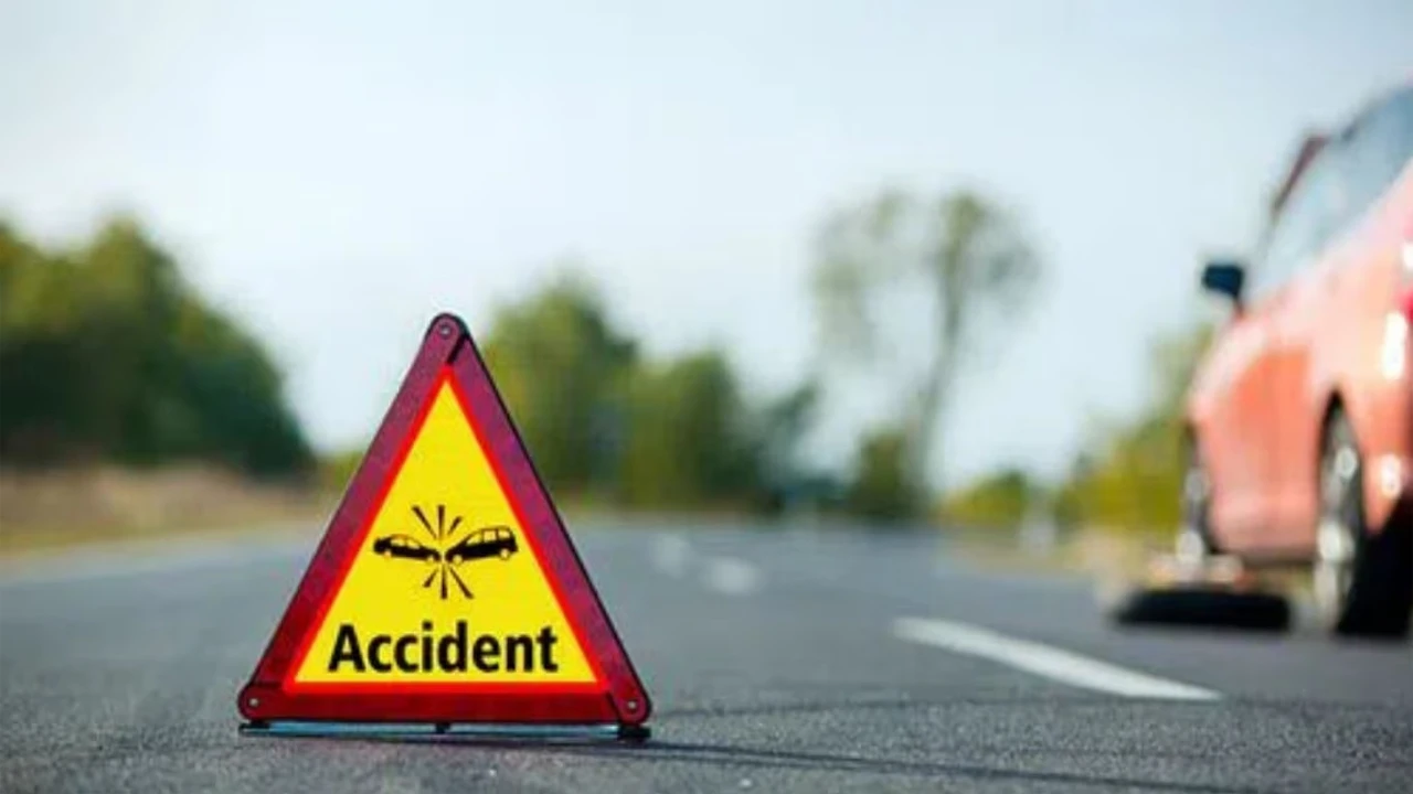 সুন্দরবনে ফাঁসহ ৩ হরিণ শিকারী ইন্সটল