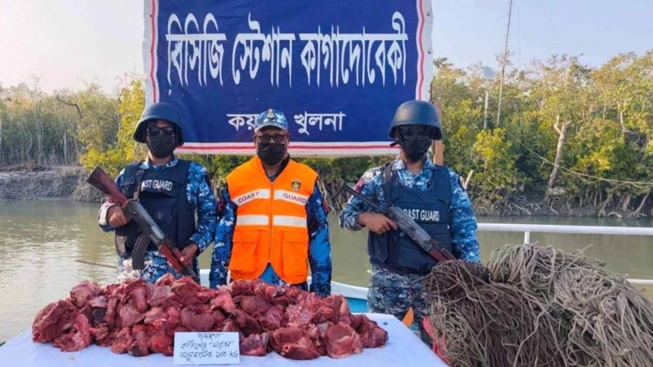A cat that lost its mother was handed over to the Khulna Forest Department.