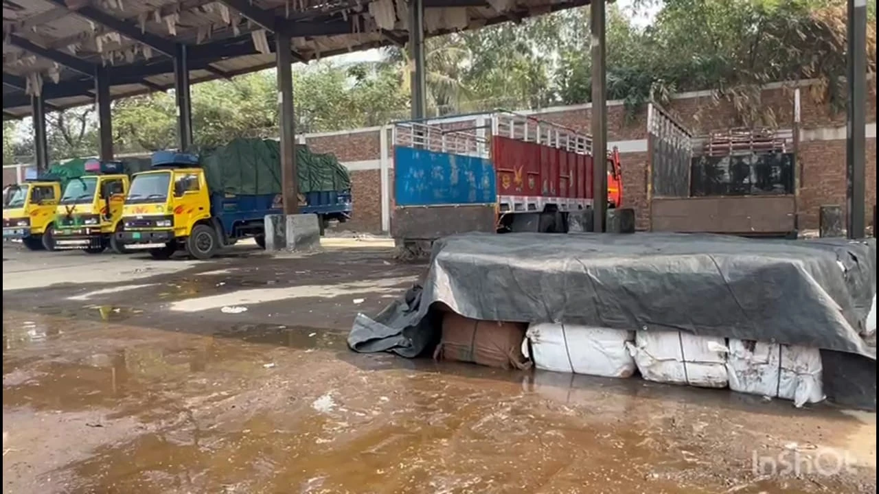 Hilsa imported from India to Benapole!