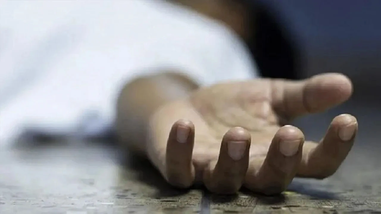 Hannan Masood wants 'gunman' for security