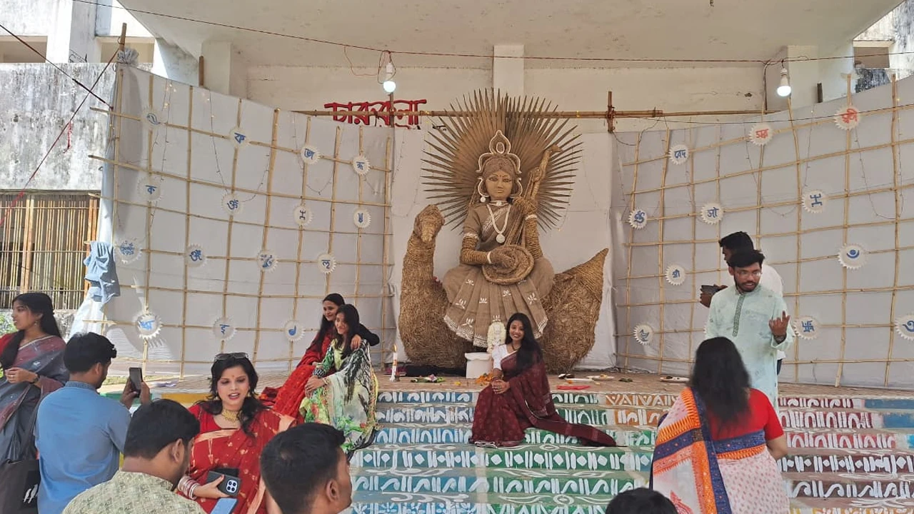 JU VC becomes member of BNP's election coordination committee