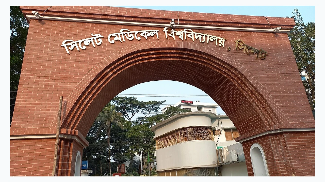 Parties that vote 'no' are being dishonest with blood: Advisor Sakhawat