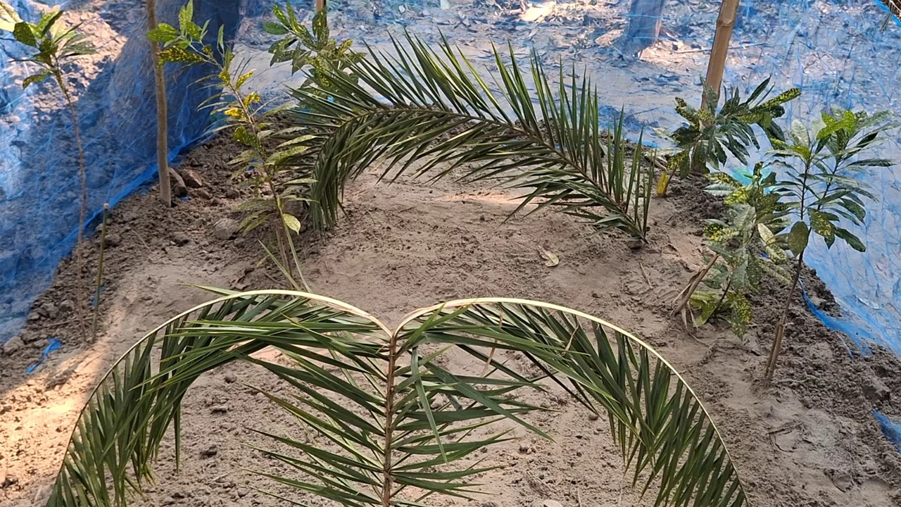 If intimidation is shown, we will resist with force: Mamunul