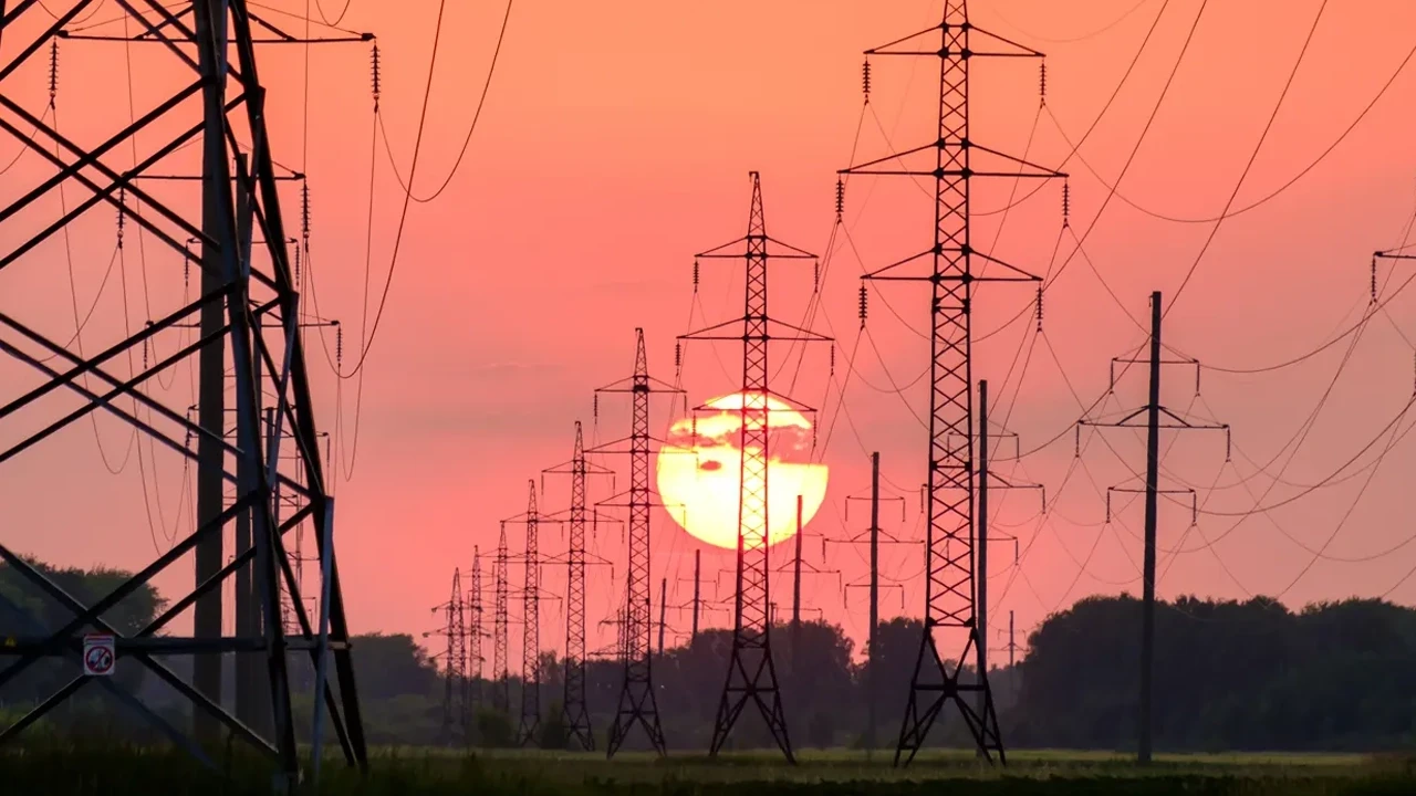 4 arrested with 10 kg of silver and liquor in Jessore