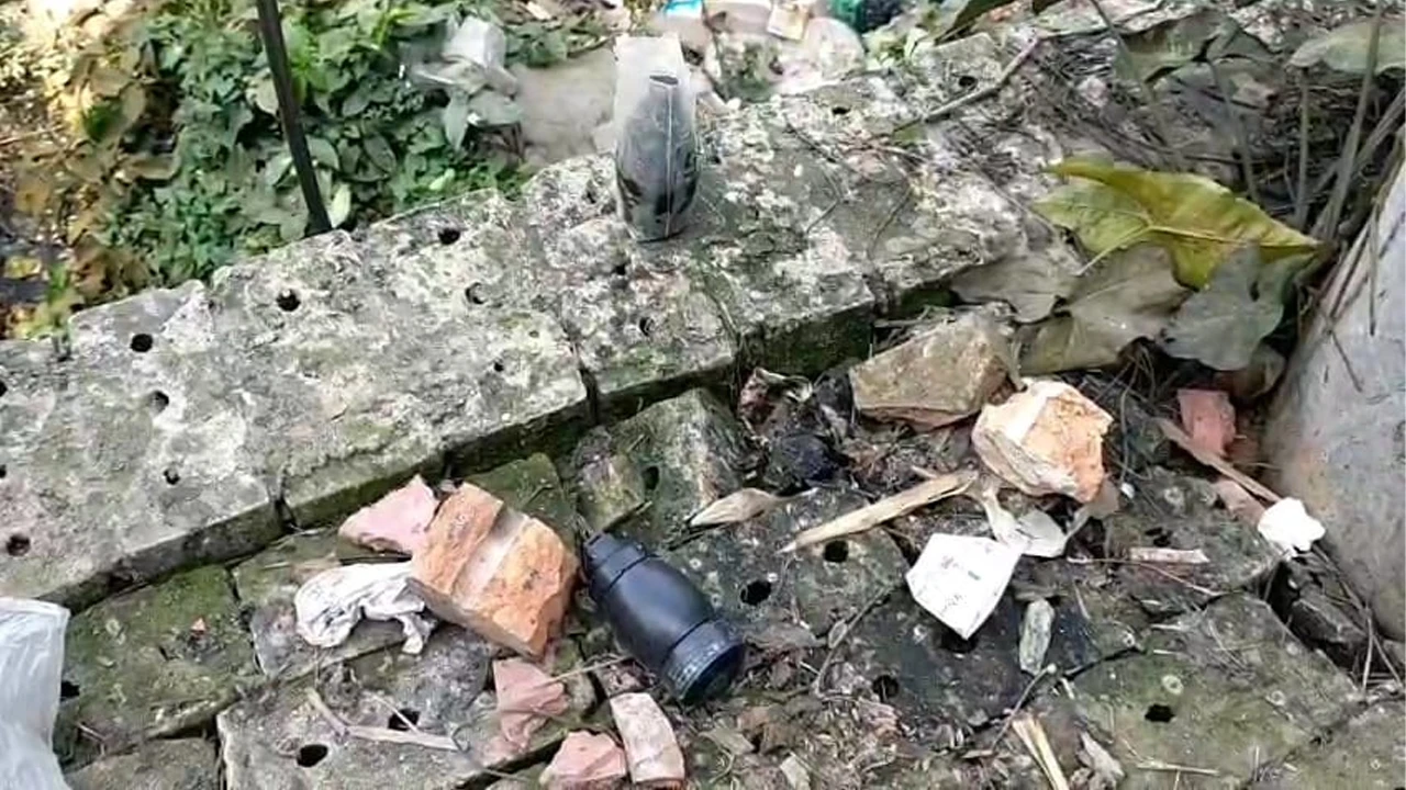 BNP took him to the party after bathing him in milk